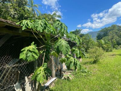 Imagem 2 de Terreno com 11.800m2 no bairro Santa Luzia em Jaraguá do Sul loading=